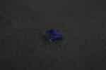 Tanzanite Zoïsite Forme Libre 0.92ct – Image 2
