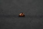 Grenat Pyrope-Malaya Triangle 0.82ct – Image 3